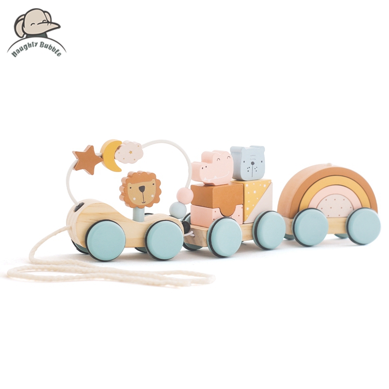 Wooden Montessori Toys Animal  - Kids Toys 2 Year Old review and price