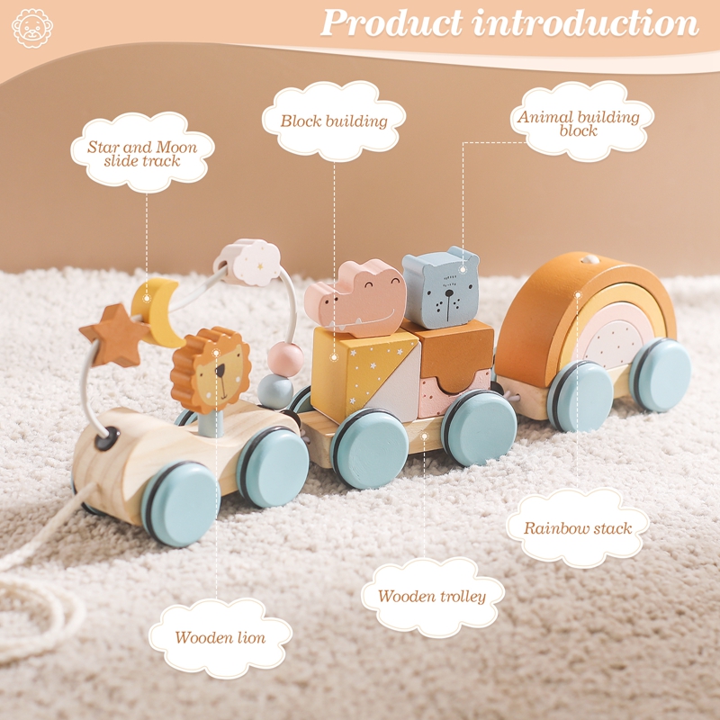 Wooden Montessori Toys Animal  - Kids Toys 2 Year Old review and price