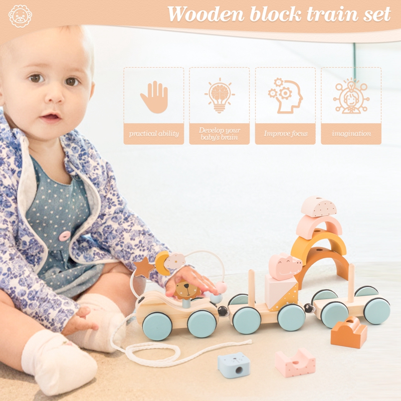 Wooden Montessori Toys Animal  - Kids Toys 2 Year Old review and price